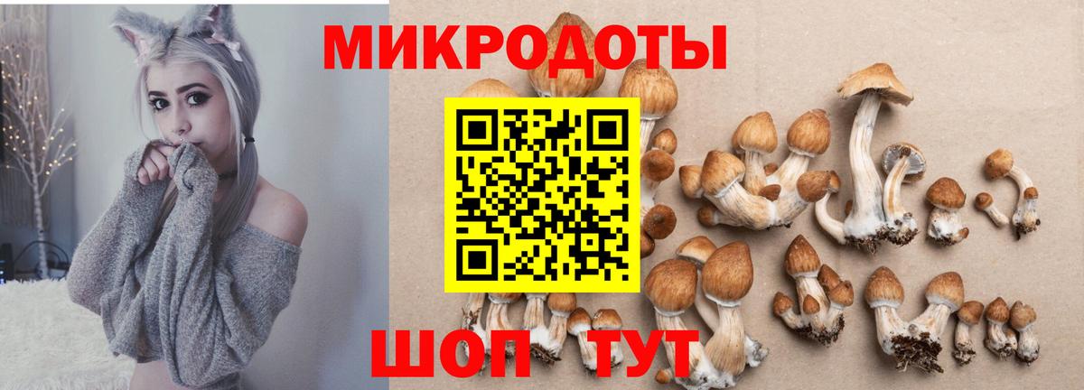 Псилоцибиновые грибы мицелий Избербаш