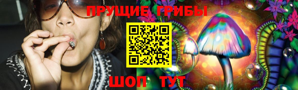 Избербаш  Галлюциногенные грибы MAGIC MUSHROOMS  Вход с VPN 